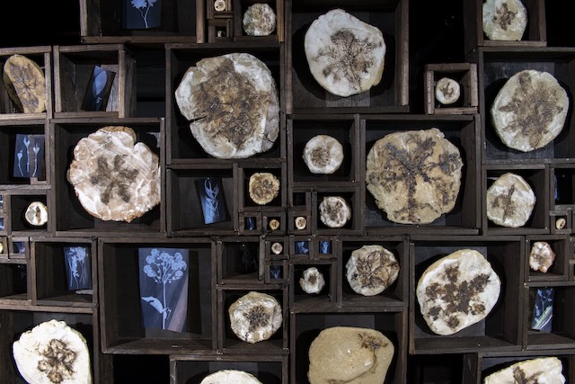 久木田茜《いのちの紋》2021