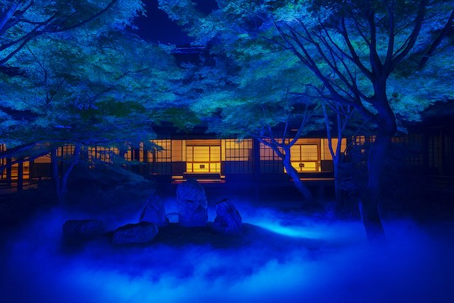 W'UP☆11月1日～11月8日 Sensory Experience of ZEN and FUSHIKI