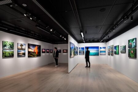 ギャラリー内観