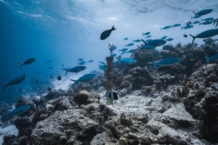 イメージフォト