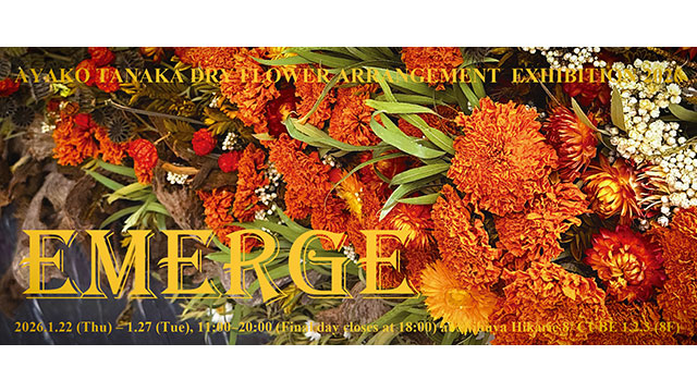 W'UP★1月22日~1月27日 花のアート「EMERGE(エマージ)」展 渋谷ヒカリエ 8/ CUBE 1,2,3(渋谷区渋谷)