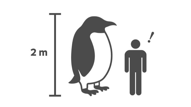 イメージフォト