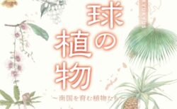 キービジュアル