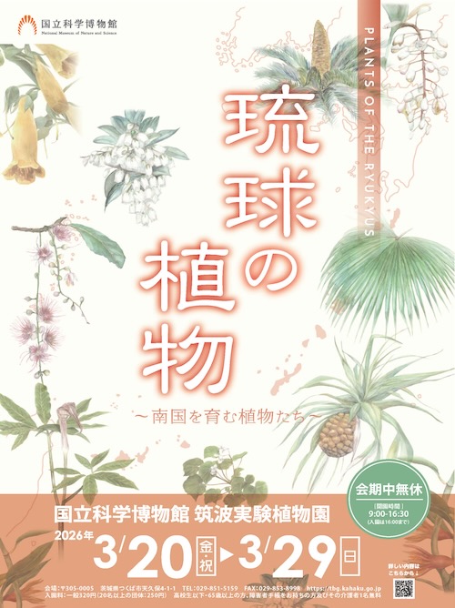 W'UP★3月20日~3月29日 企画展「琉球の植物‐南国を育む植物たち‐」 国立科学博物館 筑波実験植物園(茨城県つくば市)