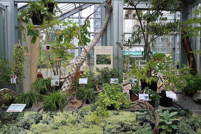 植物園内観
