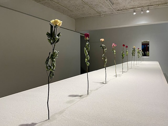 W’UP★12月13日～12月21日　戸島大輔 展　Gallery KINGYO（文京区千駄木）