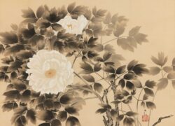 横山大観 ≪白牡丹≫ 大正14年（1925）