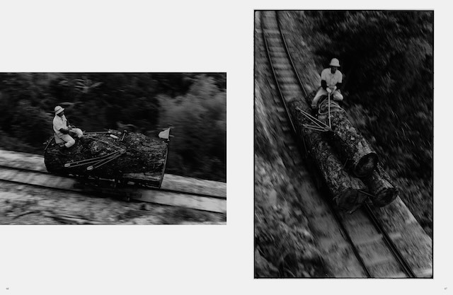 屋久島・安房森林軌道