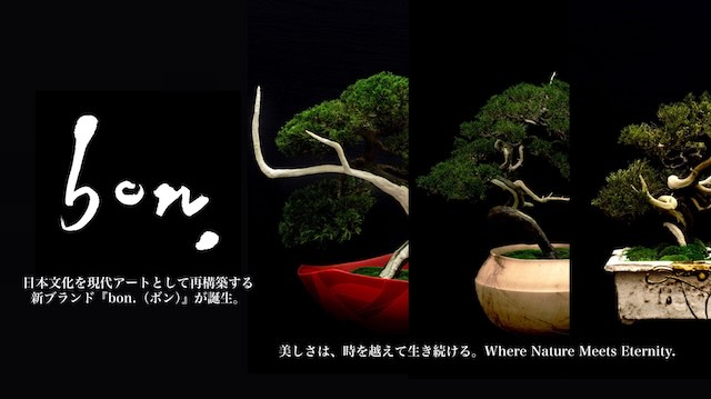 W'UP★11月27日~12月2日 bon. - Timeless Bonsai ~今、記憶そして未来~ Telling Cafe & Gallery(港区北青山)
