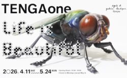 キービジュアル