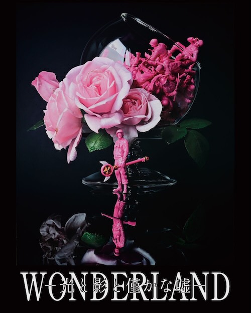 W'UP★2月6日～2月28日　WONDERLAND −光と影と僅かな嘘−　gallery UG Tennoz（品川区東品川）
