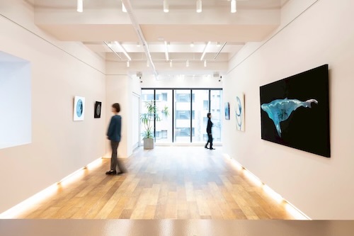 ギャラリー内観