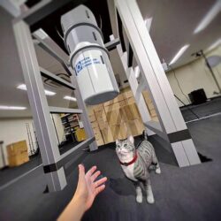 理化学研究所《量子コンピュータ XR》