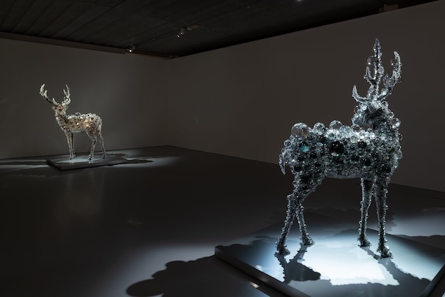 「SPRING わきあがる鼓動」展 エピローグ/名和晃平 展示風景