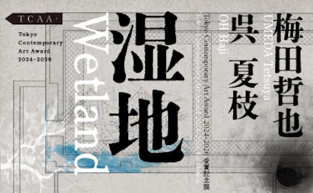 W'UP★12月25日～3月29日　Tokyo Contemporary Art Award 2024-2026 受賞記念展「湿地」　東京都現代美術館（MOT）（江東区三好）