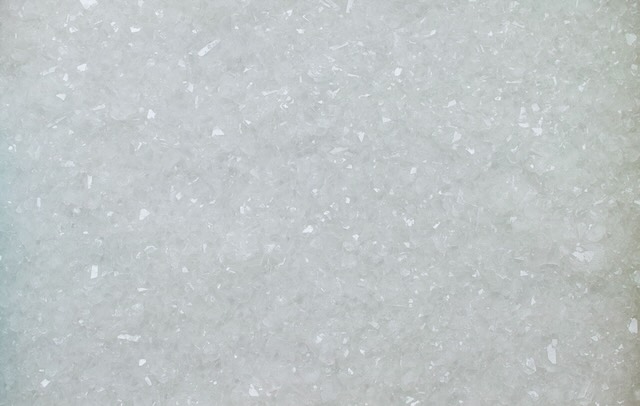 W'UP★1月10日～2月3日　田中嵐 個展「Mimesis」　京都 蔦屋書店  ギャラリー（京都市下京区）