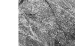 キービジュアル