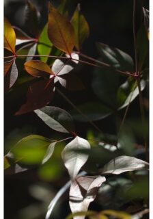 キービジュアル