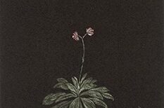 キービジュアル