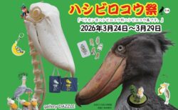 展覧会ポストカード