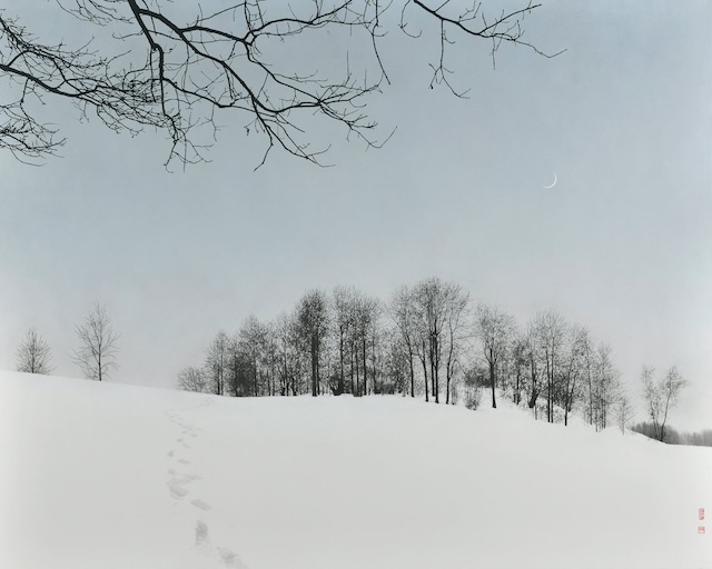 W'UP★2月14日～3月22日　江川直也展　ギャルリーためなが（港区南青山）