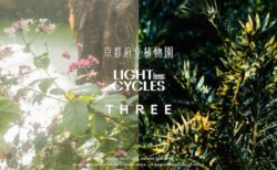 キービジュアル