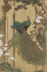 孔雀図 徐皥晋（久間貞八）筆 江戸時代・19世紀