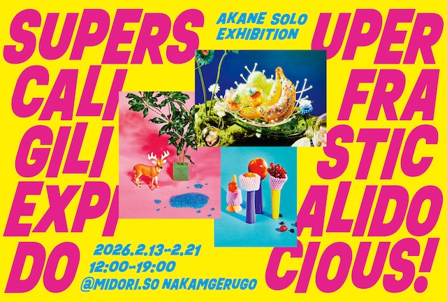 W'UP★2月13日~2月21日 AKANE写真展「Supersupercalifragilisticexpialidodocious」 MIDORI荘 中目黒ギャラリー(目黒区青葉台