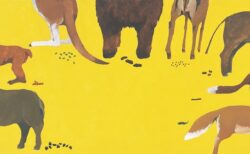 『みんなうんち』福音館書店　1977