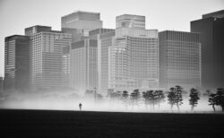 皇居付近の風景写真