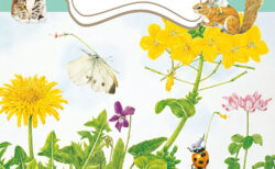 キービジュアル