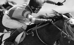 競馬中の武豊選手