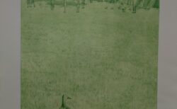 「Kew ガーデン」　銅版画 396×300mm 2025