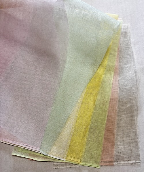 こいのぼりに使用した(蚊帳麻)苧麻