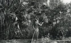 スリランカのモノクロ写真