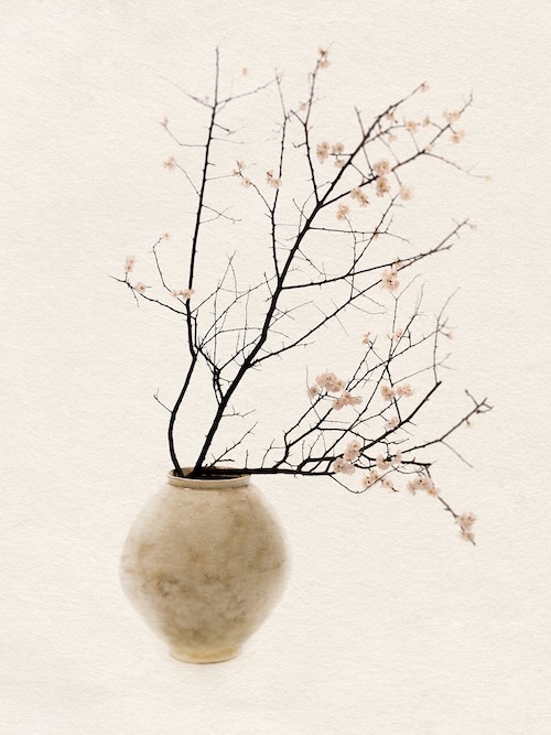 The Moon, the Flowers The things series