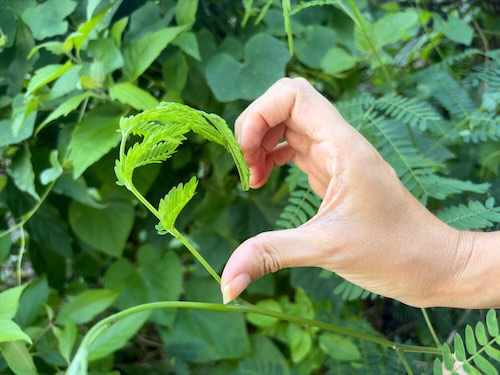 キュンチョメ《ライフ・イズ・ビューティフル》2024年 写真
