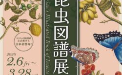 キービジュアル