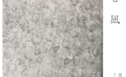 展覧会ポストカード