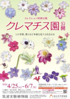 キービジュアル