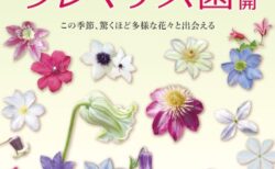 キービジュアル