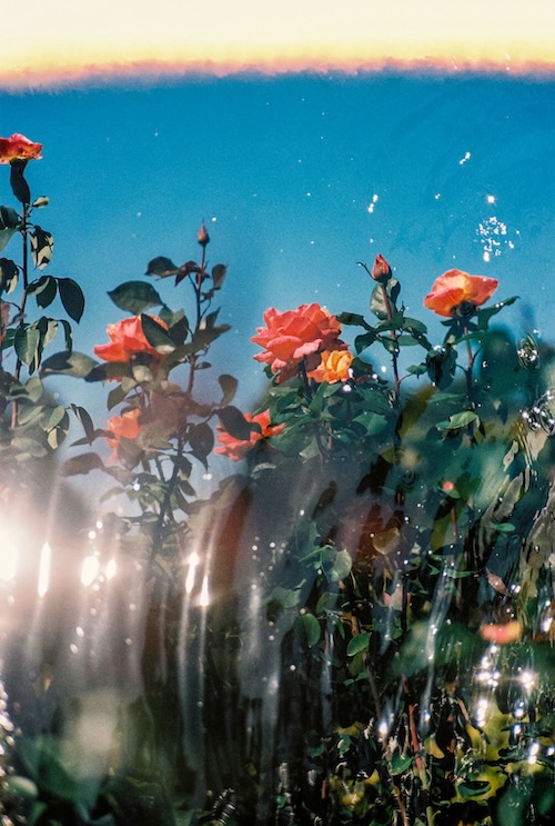 W'UP★4月25日~5月10日 大矢真梨子 個展「Inner Garden」 お匙 京都(京都市中京区)