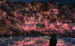 「チームラボ 養老渓谷」養老渓谷, 千葉